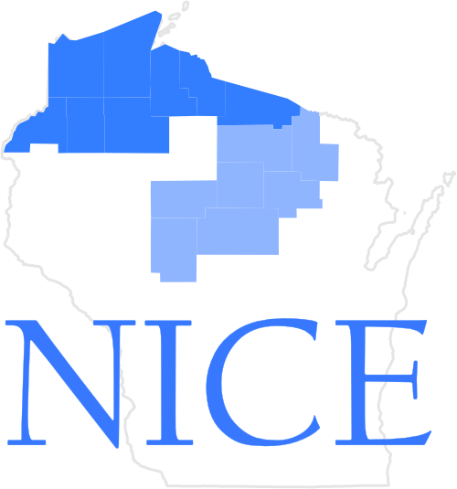 NICE Project logo